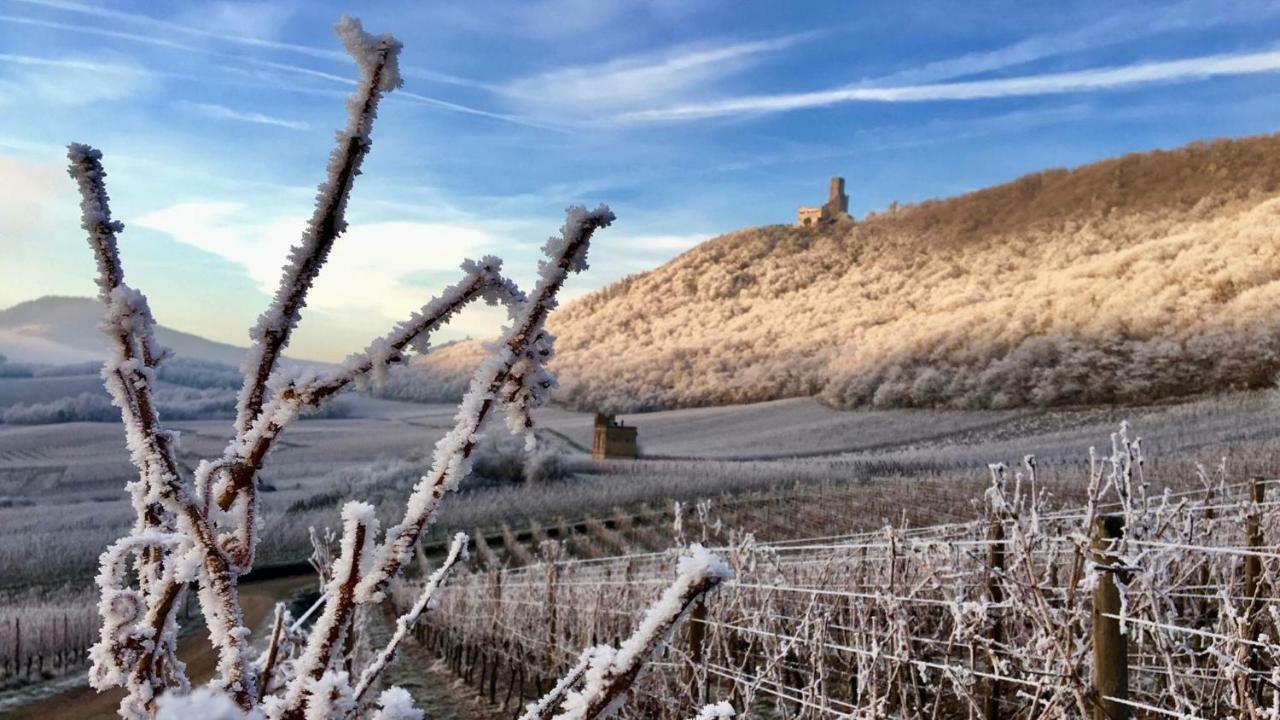 Gite Du Rittersberg Scherwiller Exterior foto
