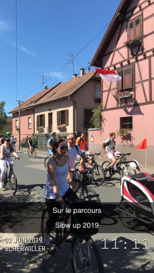 Gite Du Rittersberg Scherwiller Exterior foto